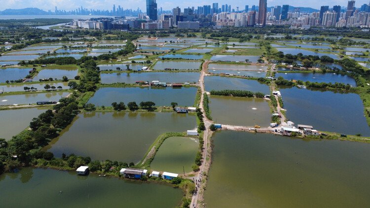 Tasarım Haberleri
